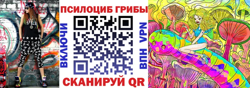 Купить  Кириллов  Псилоцибиновые грибы Psilocybe 